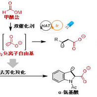 北海道大学通过两种催化剂的协同作用从光能中合成出药物中间体
