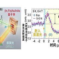 东京大学等成功以600飞秒实现超高速增强磁化