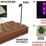 大阪大学产业科学研究所开发出可撒在土壤表面使用的“回归土壤传感器”