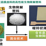 大阪大学让明胶具有热塑性，用软胶囊废料制造高性能生物降解塑料