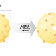 富士胶片发现杉树花粉是引发皮肤炎症的一个因素，桑根皮提取物可改善