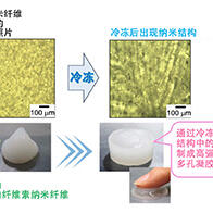 日本原子能研究开发机构冷冻纤维素制成多孔凝胶材料，实现高强度