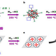 日本理化学研究所等开发出低温合成氨的超微金属团簇催化剂