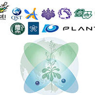 植物RI成像联盟，QST等10个机构启动研究