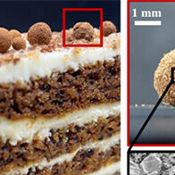 大阪工业大学、在酸性环境中破裂并释放气体的球泡与肉桂包裹的可食用球泡