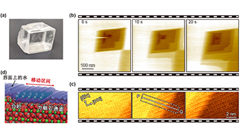 金泽大学等开发出高速三维扫描力显微镜，可观测固液界面的三维结构变化