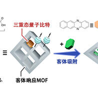 九州大学和东京大学等发现分子性量子比特的量子叠加态对化学物质产生响应，向实现化学量子传感迈出一大步