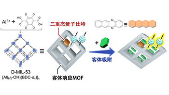 九州大学和东京大学等发现分子性量子比特的量子叠加态对化学物质产生响应，向实现化学量子传感迈出一大步