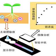 北海道大学开发出可快速简便地测定土壤中镁离子浓度的纸质分析设备