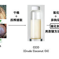 日本绿色电力开发：将不可食用椰子的椰子油制成航空燃料