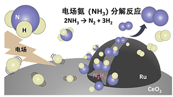 早稻田大学利用氨分解制造清洁氢，比以往温度低200℃实现电场催化反应