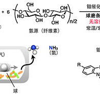 东京大学和京都大学全球首次成功实现不使用有机溶剂的氮气合成氨反应