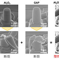 东京大学发现将易碎陶瓷组合后的无破损可变形现象，为开发强韧陶瓷材料提供新方向