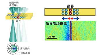 东京大学成功直接观察到燃料电池固体电解质内部的空间电荷层，为提升电池材料性能提供新的结构控制指针