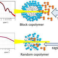 东京理科大学明确共聚物胶束结构与疏水性染料增溶的相关性，有望应用于DDS和颜料分散