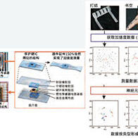 横滨国立大开发融合AI的可伸缩器件，实现能够识别动作和形状的新系统
