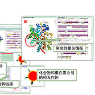 大阪大学和东北大学公开连接日本人基因突变信息和蛋白质三维结构信息的新门户网站