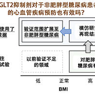 京都大学等发现SGLT2抑制剂对糖尿病的效果因BMI而异，对消瘦型患者效果减弱