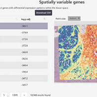 囊括组织切片基因表达的数据库公开，非专业人士也能轻松分析了解疾病