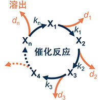 理研构建出预测电极催化剂寿命的数理模型，可用于开发高耐久替代材料