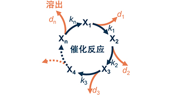 理研构建出预测电极催化剂寿命的数理模型，可用于开发高耐久替代材料