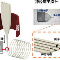 日本东北大学开发出可在生物体内同时测量多种离子浓度的新技术，实现了兼具柔性与高灵敏度的神经离子探针