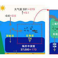 JAMSTEC确定海洋生物体对海洋二氧化碳的吸收量，大大少于以往的估算值