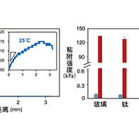 日本东北大学开发出粘附力在接近体温时会发生1000倍变化的凝胶