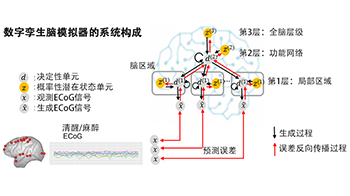 开发灵长类大脑功能的数字孪生，助力阐明精神与神经疾病的病理并实现个性化治疗