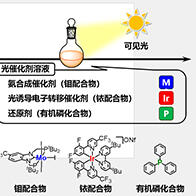 东京大学成功在可见光照射与常温常压下合成“绿色氨”