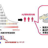 庆应义塾大学医学部和卫材、实现脑内β-淀粉样蛋白蓄积风险的可预测，便于掌握阿尔茨海默病的发病风险