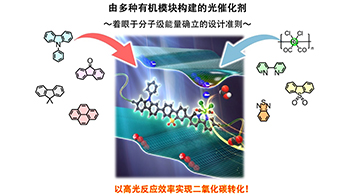 京都大学等成功验证有机高分子光催化剂高效转化CO₂的技术，实现不依赖贵金属的人工光合成系统