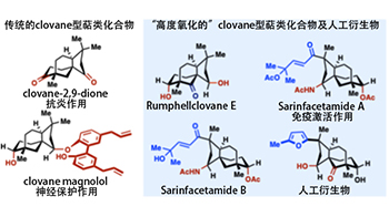 日本东北大学确立萜类天然产物衍生物的“自由”合成法，掌握药物研发的关键