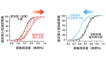 麻醉药吸入有效的细胞内靶点分子被锁定，有望推动开发更优质麻醉药及给药方法