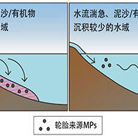国环研、产综研、爱媛大学联合调查日本各地轮胎源微塑料的污染情况：经河流汇入海洋与湖泊