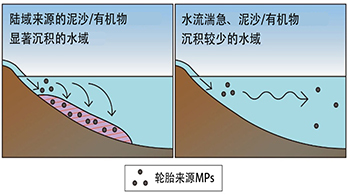 国环研、产综研、爱媛大学联合调查日本各地轮胎源微塑料的污染情况：经河流汇入海洋与湖泊