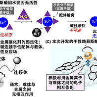 东京大学利用单壁碳纳米管，成功实现水中催化性不对称合成