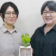 农研机构等开发出提高农田温室气体减排效果的“大豆-根瘤菌”共生系统，有望为抑制全球变暖作出贡献