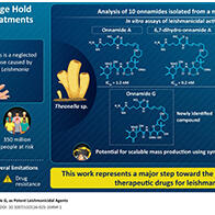 东京理科大学、琉球大学等从冲绳海绵动物中成功分离出强效抗利什曼原虫活性化合物，有望成为利什曼病新型治疗药候选物质