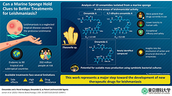 东京理科大学、琉球大学等从冲绳海绵动物中成功分离出强效抗利什曼原虫活性化合物，有望成为利什曼病新型治疗药候选物质