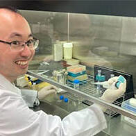 诺奖得主坂口教授团队开发出利用其他细胞制备“调节性T细胞”的新方法