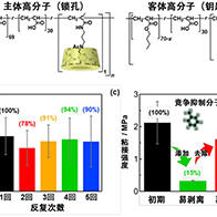 大阪大学利用中子阐明界面结构，开发出“粘着牢固但可剥离”的胶粘剂