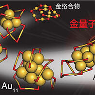 通过缓慢还原离子法合成仅由3个原子构成的“金量子针”，光学特性获得阐明