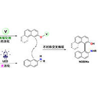 阪大产研发现：钒催化剂与光协同实现新型合成法，副产物仅为水