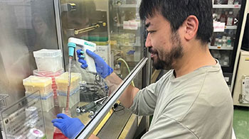 东京科学大学明确细胞废物清除的部分机制，与疾病发病相关