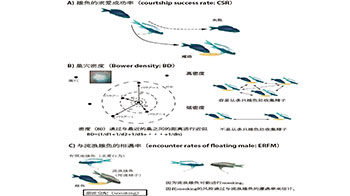 琉球大学等发现精子间竞争关系到寿命及基因表达，并通过非洲古代湖鱼证实