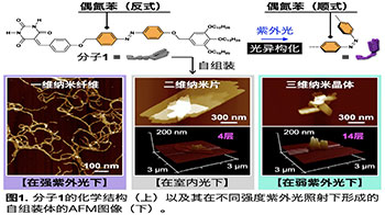 千叶大学等通过改变光的强度来自由控制纳米材料的形态