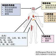 日本东北大学启动世界首个线粒体病治疗药物“MA-5”的Ⅱ期临床试验