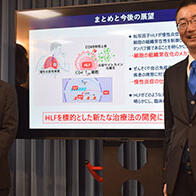 千叶大学等确定“慢性炎症关键蛋白质”，阐明免疫细胞的参与机制