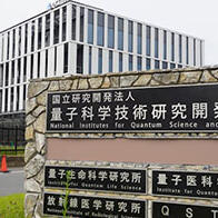 量子研：早期乳腺癌无需切除, 重离子线治疗有效